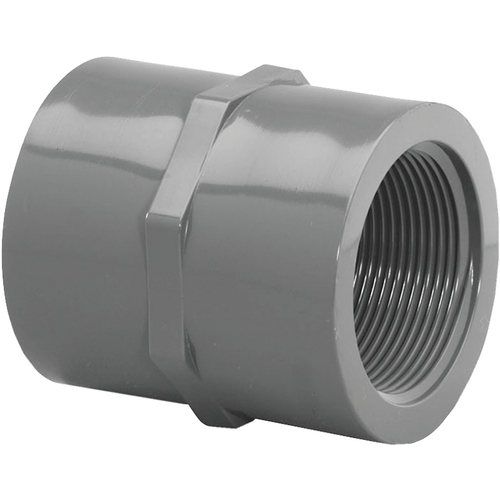 Lasco 36109 830012BC Pipe Coupling, 1-1/4 in, FIP, PVC, SCH 80 Schedule