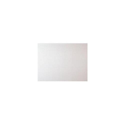 CEILIN PNL 2X4X9/16IN STNHURST White - pack of 8