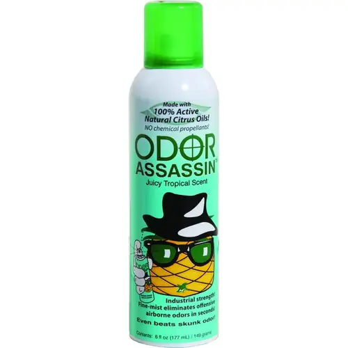 Odor Eliminator, 6 oz Can - pack of 3