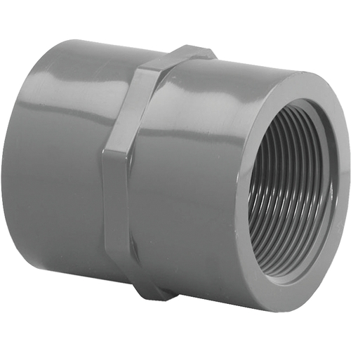 Lasco 36106 830005BC Pipe Coupling, 1/2 in, FIP, PVC, SCH 80 Schedule