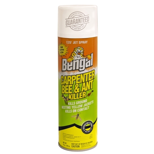 Carpenter Bee and Ant Killer, Spray Application, 16 oz