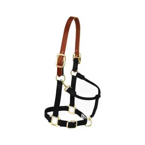 Breakaway Halter, Black, 1 In., Average-Size Horse