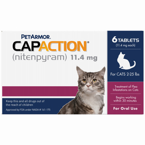 Oral flea hot sale medicine for cats