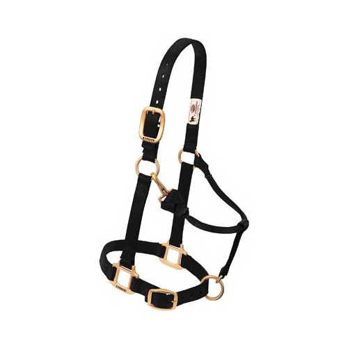 Pony Halter, Black Nylon, 3/4 In.