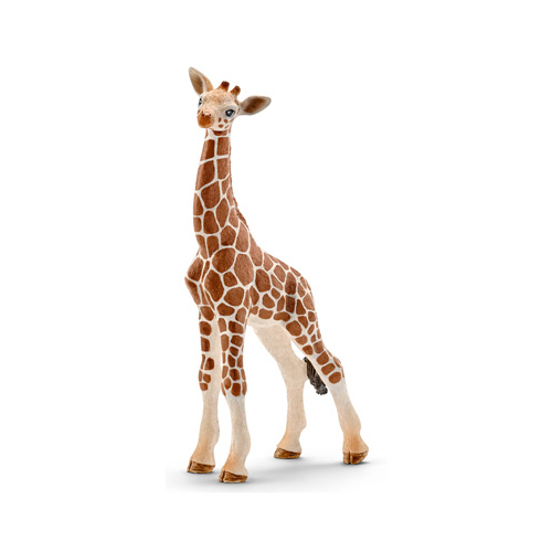 ORG/Tan Giraffe Calf - pack of 5