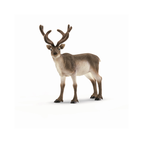 SCHLEICH NORTH AMERICA 14837-XCP5 Reindeer Toy Animal Figure, Ages 3 & Up - pack of 5