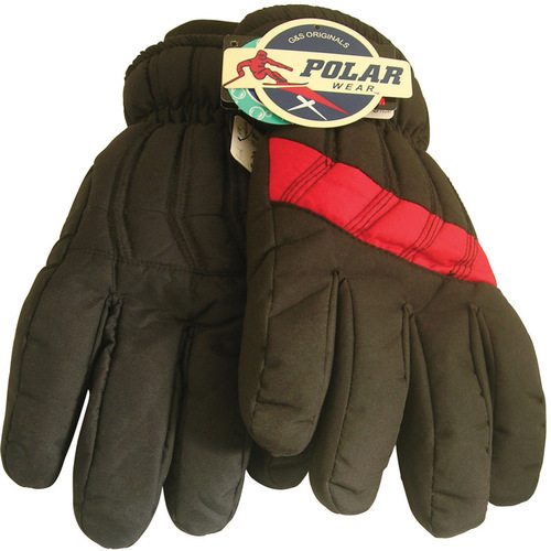 Diamond Visions 05-0189 Gloves Polar Wear L/XL Polyester SKI Black Black