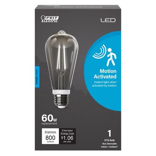 LED Motion Activated Bulb ST19 E26 (Medium) Daylight 60 Watt Equivalence Clear