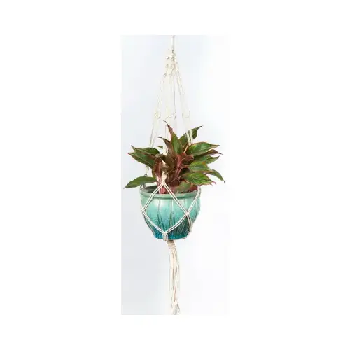 Primitive Planters 9079-XCP6 Plant Hanger White Cotton 42" H Plain Cord White - pack of 6