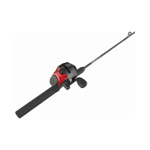 Zebco Fish Pole/Reel