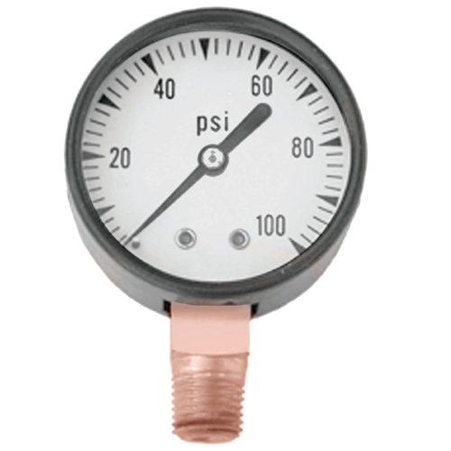 Pressure Gauge, 1/4 in Connection, MPT, 2 in Dial, Steel Gauge Case, 0 to 100 lb, Lower Connection
