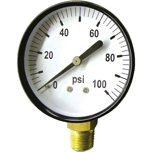 Standard Dry Pressure Gauge, 4 in Dial, 100 psi