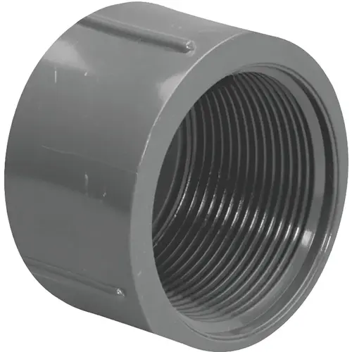 848005BC Pipe Cap, 1/2 in, FIP, PVC, SCH 80 Schedule