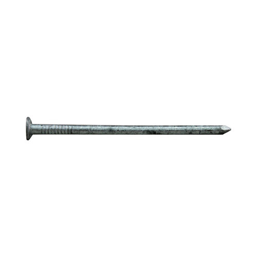 00 Box Nail, 10D, 3 in L, Steel, Hot-Dipped Galvanized, Flat Head, Round, Smooth Shank, 1 lb