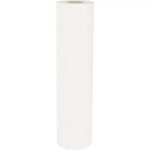 OMNIFILTER RS14-SS24-S18 Whole House Replacement Water Filter Cartridge