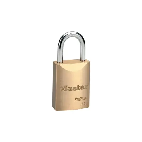 1-3/4 in. Door Hardware Padlock Body SC1 Brass