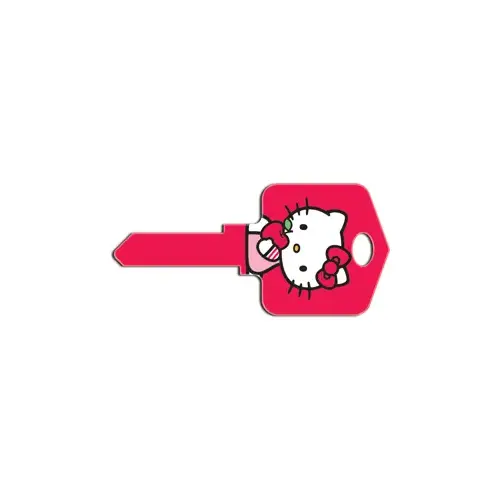 Key Blank Painted