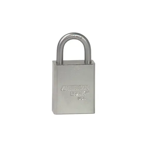 Safety Padlock 1" Shackle Silver Keyed Different Clear