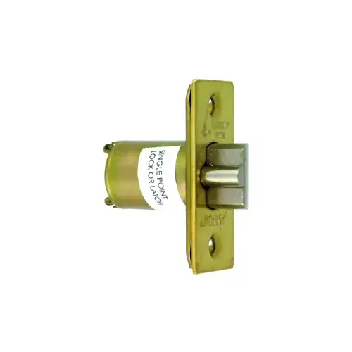 R Series Dead Latch Bright Polished Brass