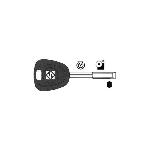 Auto Transponder Key