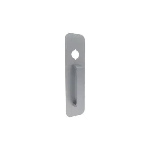 Hand Pull Plate Trim, Night Latch Function, 20 Series, 689/SP28 Painted Aluminum