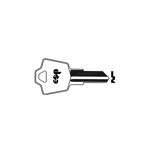 ESP Cam Key Blanks