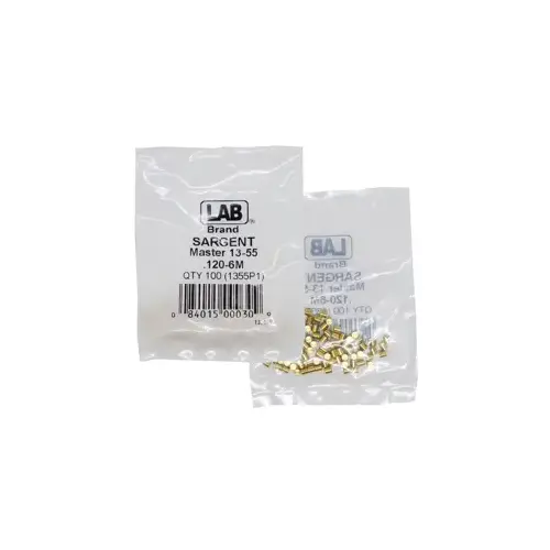 LAB SECURITY SAR13-0055 Sargent #6 Master Pin, Size .120, Polybag 100 Pins