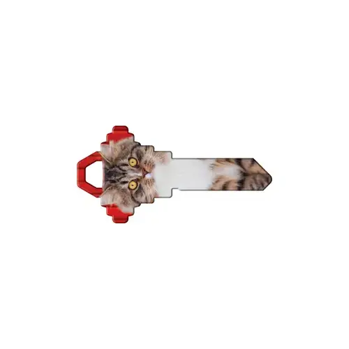 Happy Keys Maine Coon - pack of 5