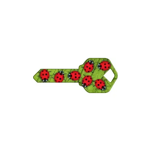 Happy Keys Ladybugs - pack of 50