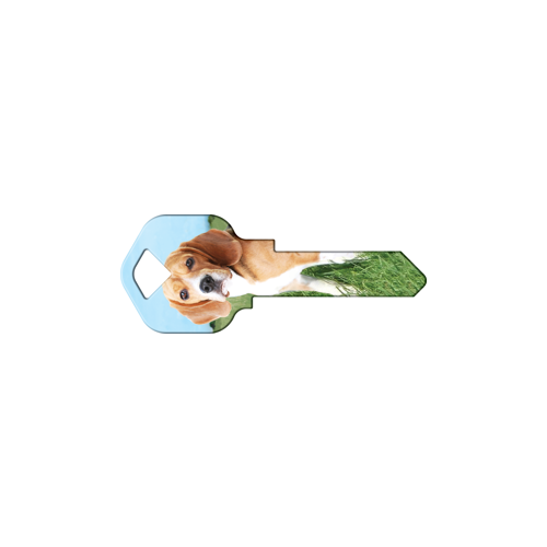 Happy Keys Beagle - pack of 50