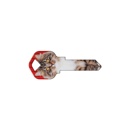 Happy Keys Maine Coon - pack of 50