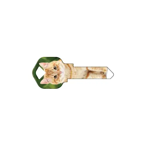 Happy Keys Orange Tabby