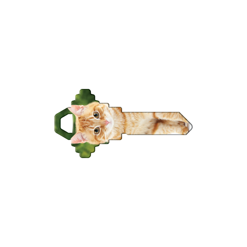 Happy Keys Orange Tabby - pack of 50