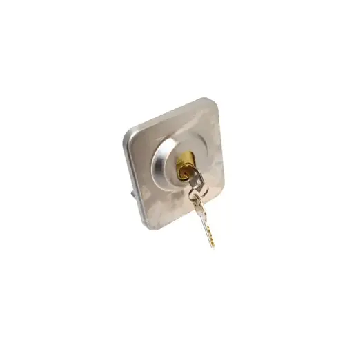 Securitech 48BG 4800 Best Guard Plate- Removable Core Openings for Large and Small IC Core