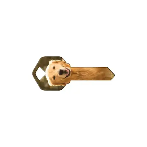 Happy Keys Golden Retriever - pack of 50