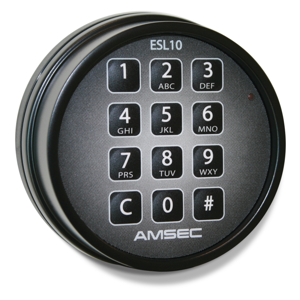 AMS0616252_003085_L.png