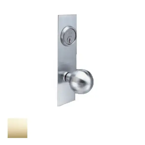 AM Series Knob for Escutcheon Bright Polished Brass