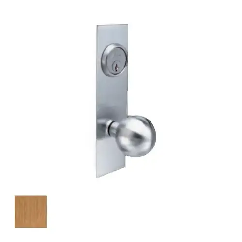 AM Series Knob for Escutcheon Satin Bronze