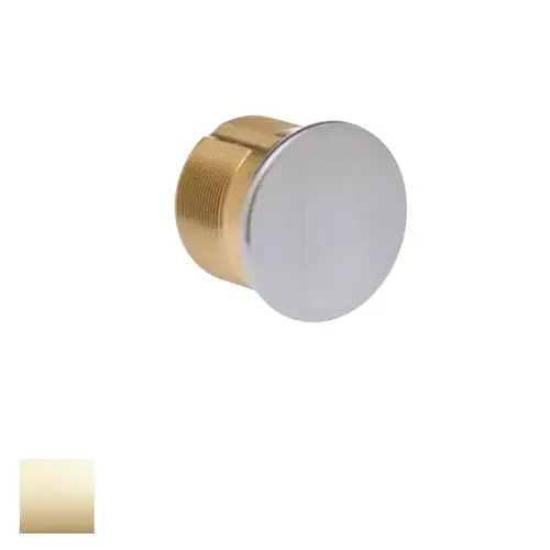 Mortise Dummy Cylinder Bright Polished Brass