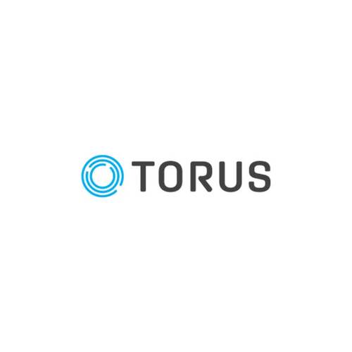 Torus TRS-S-20-001 Spare Control Unit