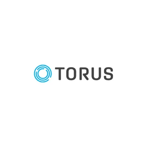 Torus TRS-S-20-001 Spare Control Unit