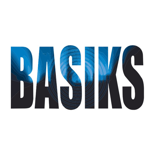 Basiks DE6-250-BASIKS Key Blank