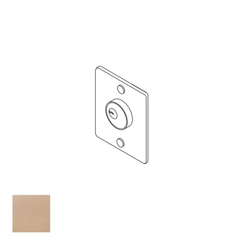 Exit Device Flat Trim Plate, Light Bronze Painted