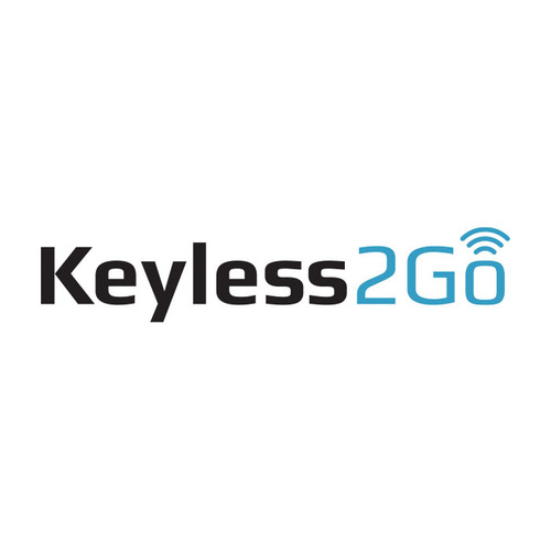 Keyless2Go CHIP-CN6-100PACK Glass Cloning Chip
