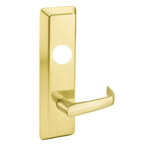 Exit Device Trim Satin Brass