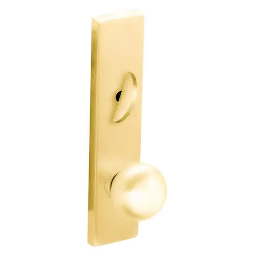 Trim Set with 41 Knob L Escutcheon for a L9040 Bright Brass Finish