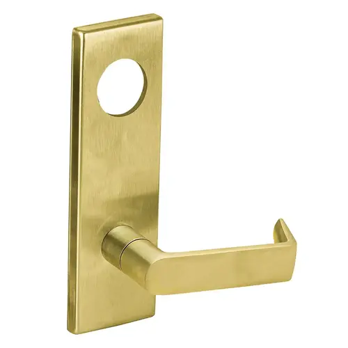 Lock Mortise Trim Set Satin Brass