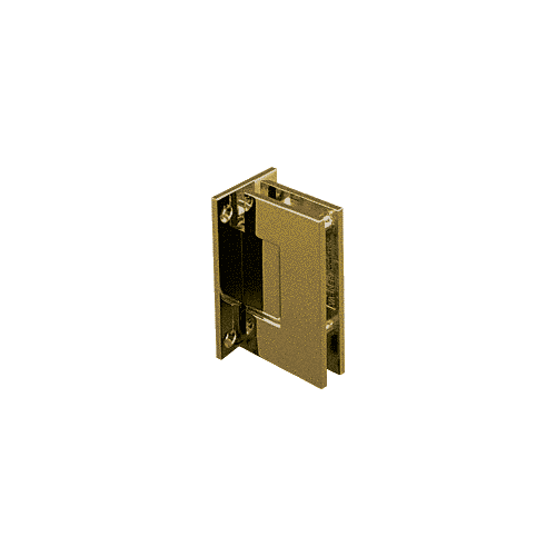 Antique Brass Geneva 537 Series Wall Mount Full Back Plate Standard Hinge With 5 Degree Offset