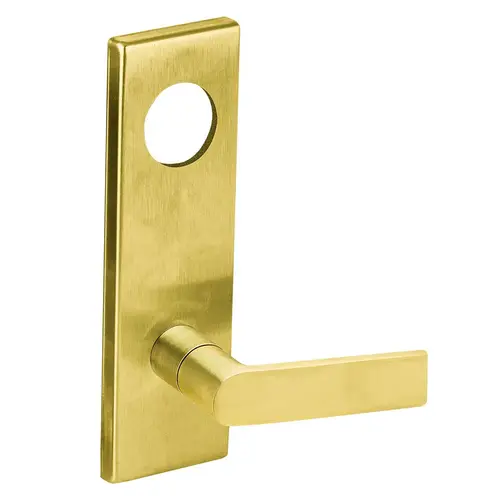 Lock Mortise Trim Set Satin Brass