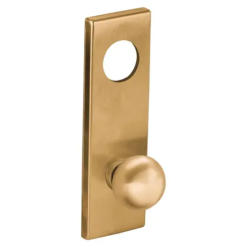 Lock Mortise Trim Set Satin Bronze Clear Coated